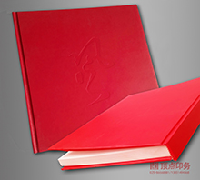 藝術(shù)紙 精品畫(huà)冊(cè)