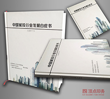 發(fā)展白皮書(shū) 鎖線裝訂畫(huà)冊(cè)